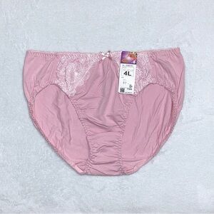 2 pairs! Japanese Brand Pink Glittery Embroidered Cotton Panties JP-4L/US-XL
